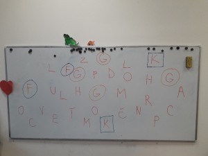 20250124_101933.jpg